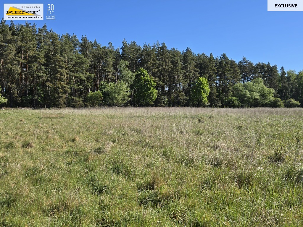 Dziełka inwestycyjna Wielgowo (9)