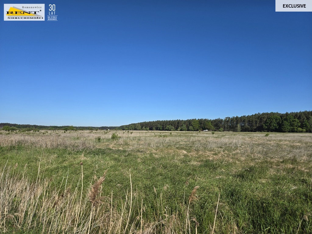 Dziełka inwestycyjna Wielgowo (10)