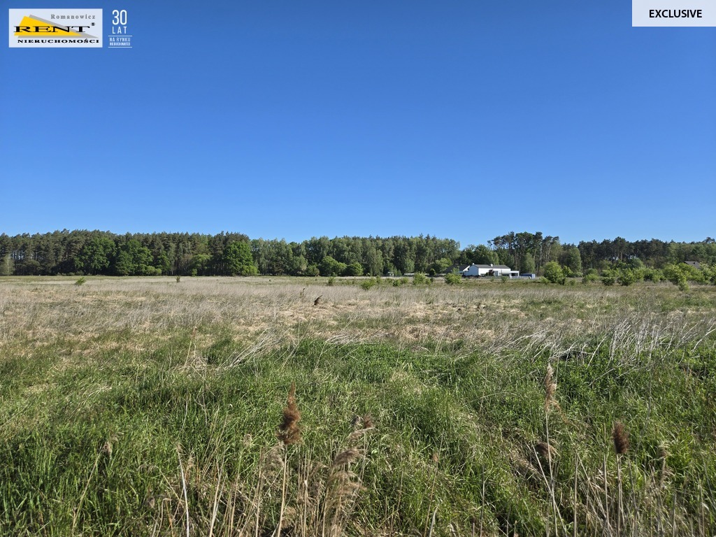 Dziełka inwestycyjna Wielgowo (11)