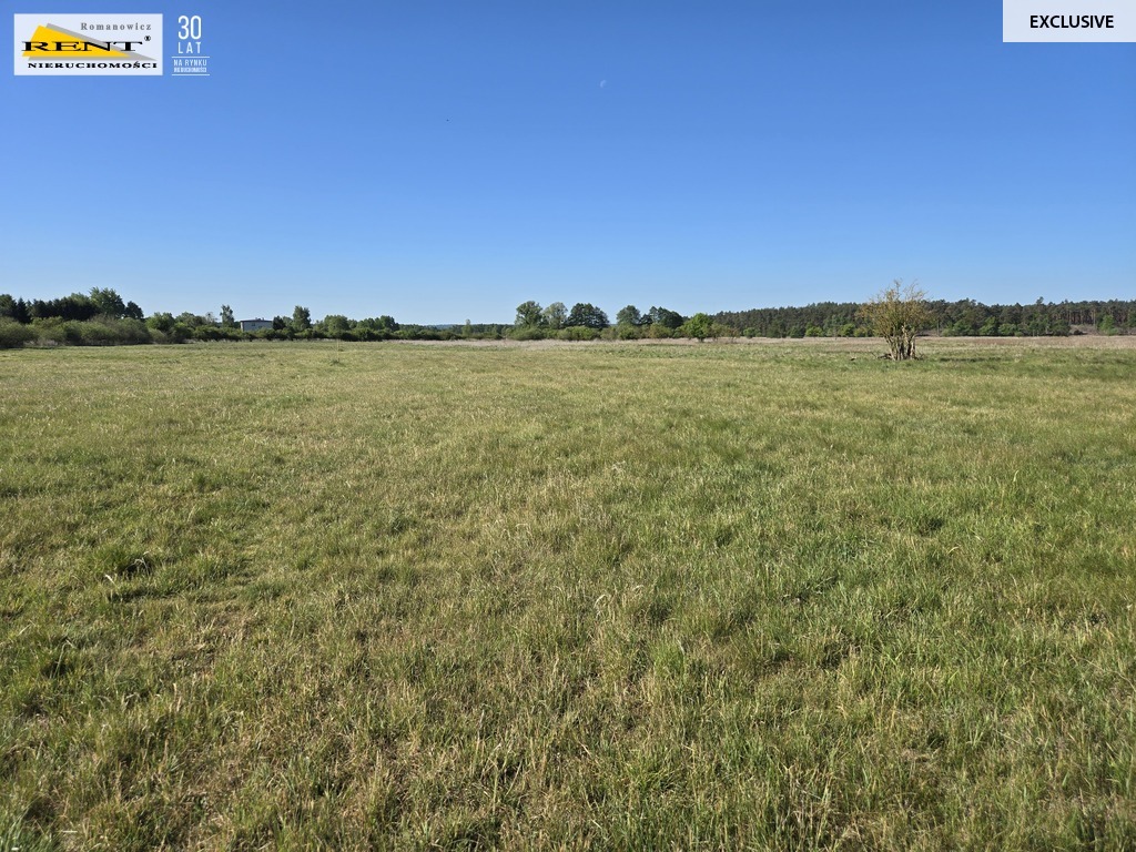 Dziełka inwestycyjna Wielgowo (12)