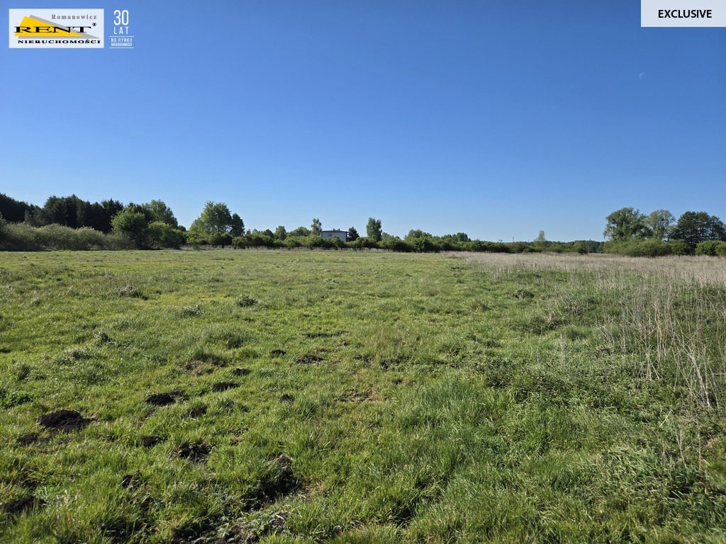 Dziełka inwestycyjna Wielgowo (13)