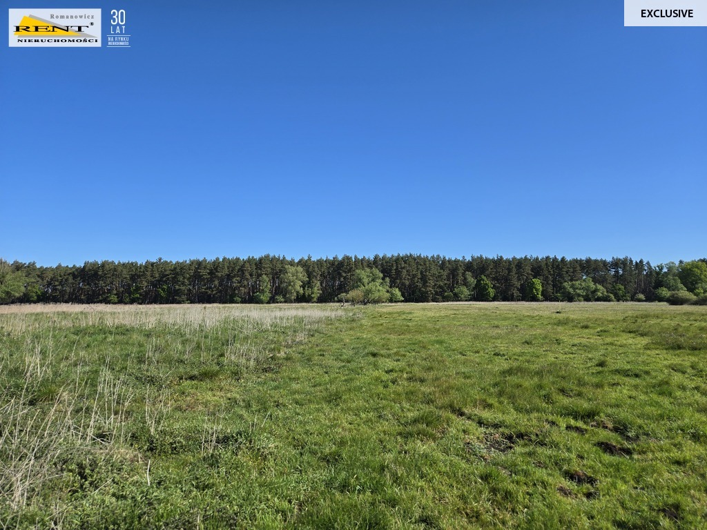 Dziełka inwestycyjna Wielgowo (14)