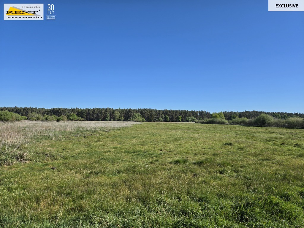 Dziełka inwestycyjna Wielgowo (15)