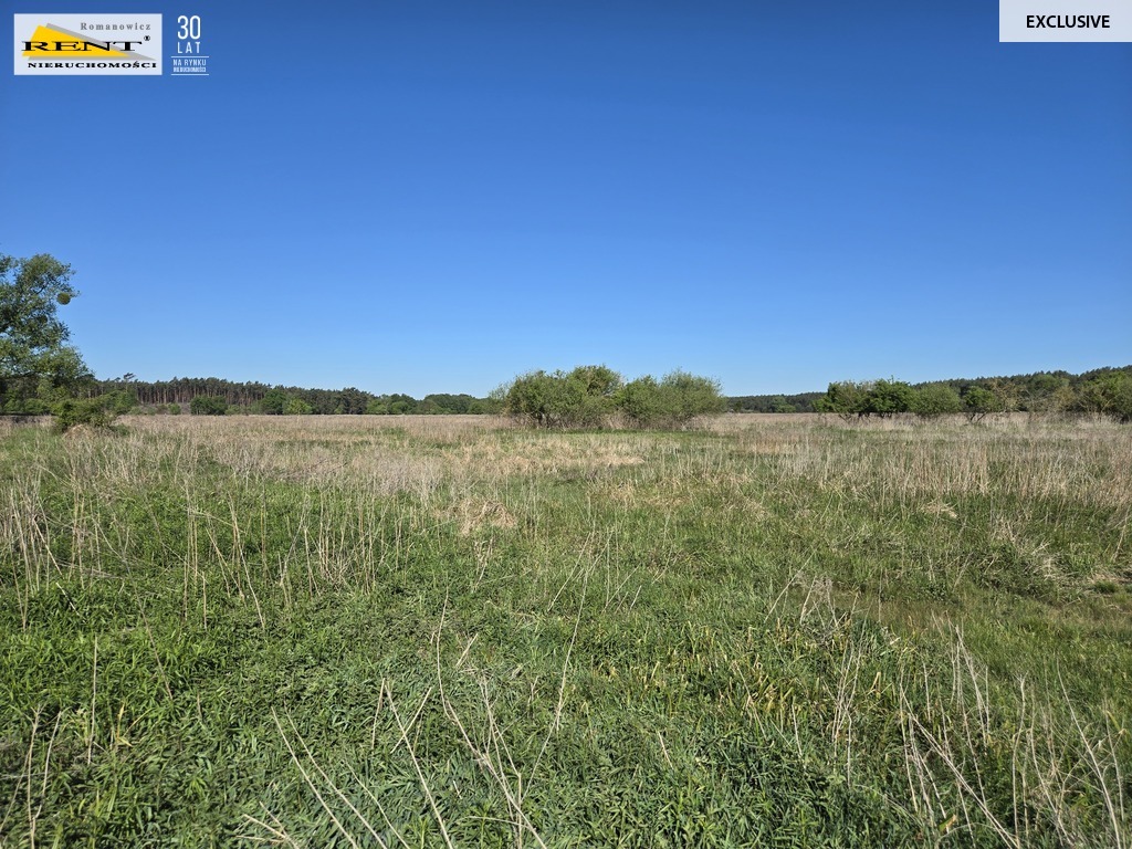 Dziełka inwestycyjna Wielgowo (16)