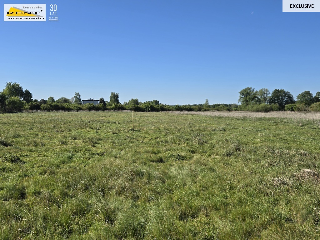 Dziełka inwestycyjna Wielgowo (17)