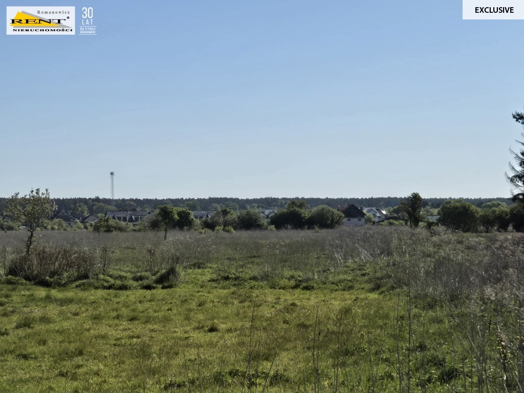 Dziełka inwestycyjna Wielgowo (18)