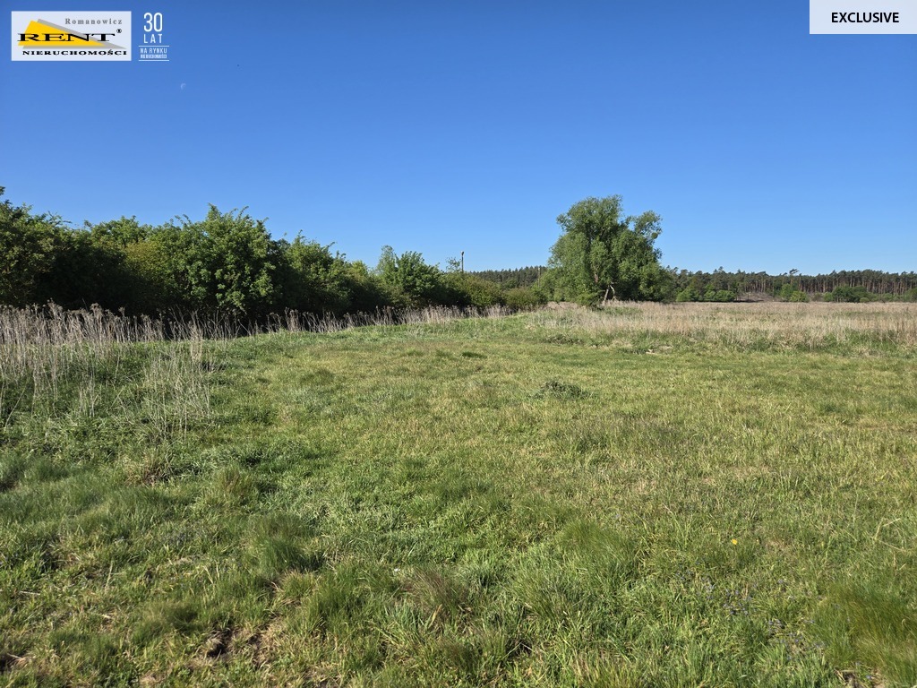 Dziełka inwestycyjna Wielgowo (19)