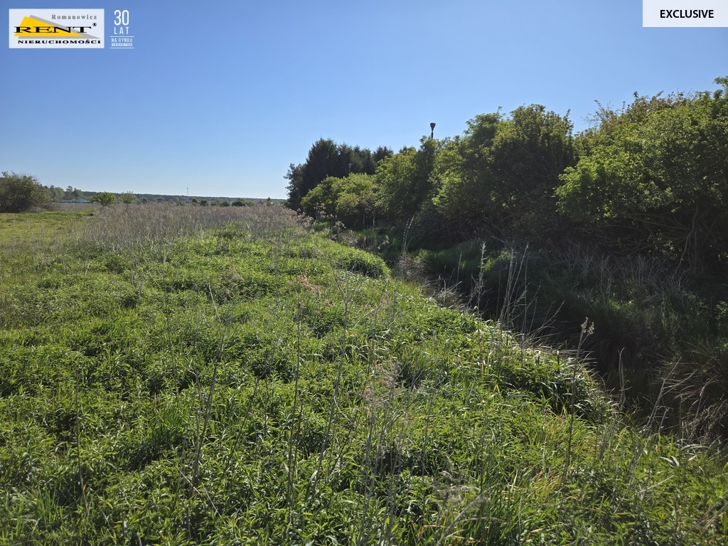 Dziełka inwestycyjna Wielgowo (20)