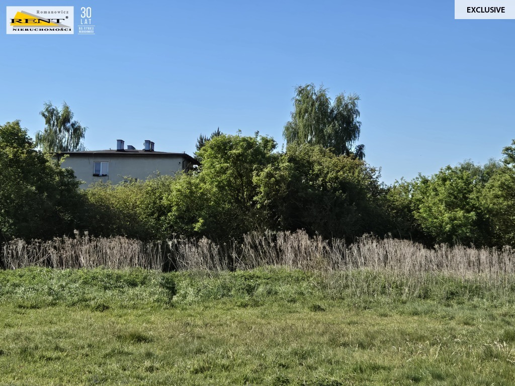 Dziełka inwestycyjna Wielgowo (21)