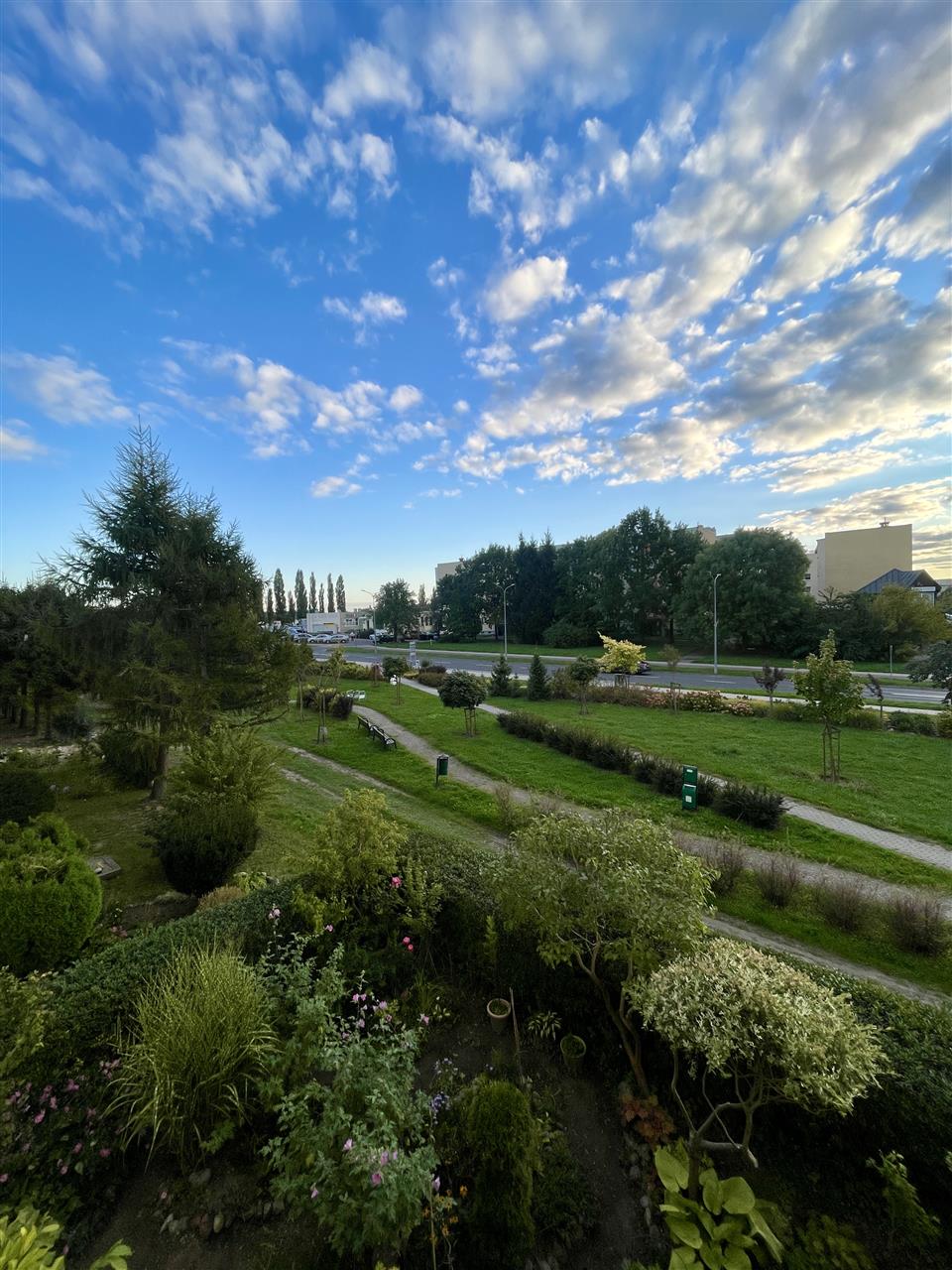 3 POKOJE • 61,2m2 • O. BUKOWE (15)