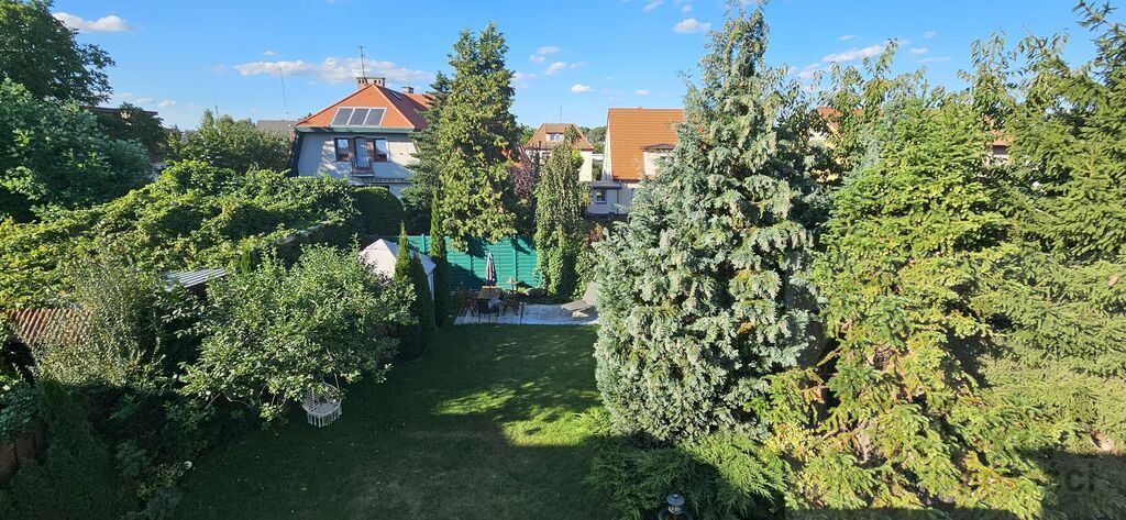 Dom wolnostojący idealny pod działalność (15)