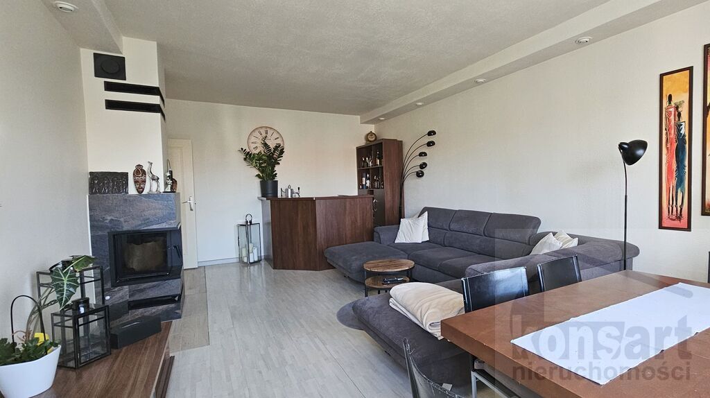 Dom wolnostojący idealny pod działalność (16)