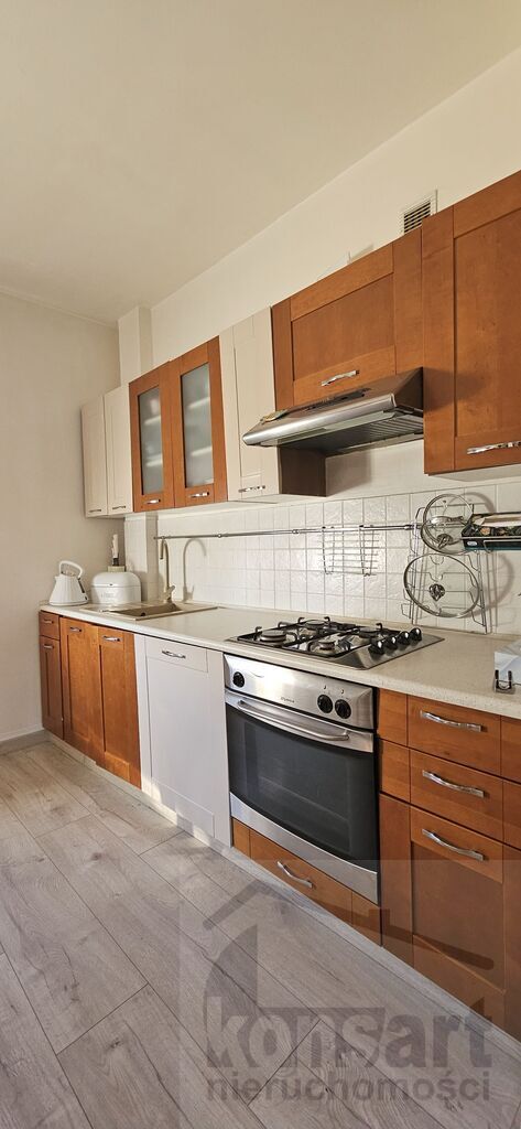 Dom wolnostojący idealny pod działalność (21)