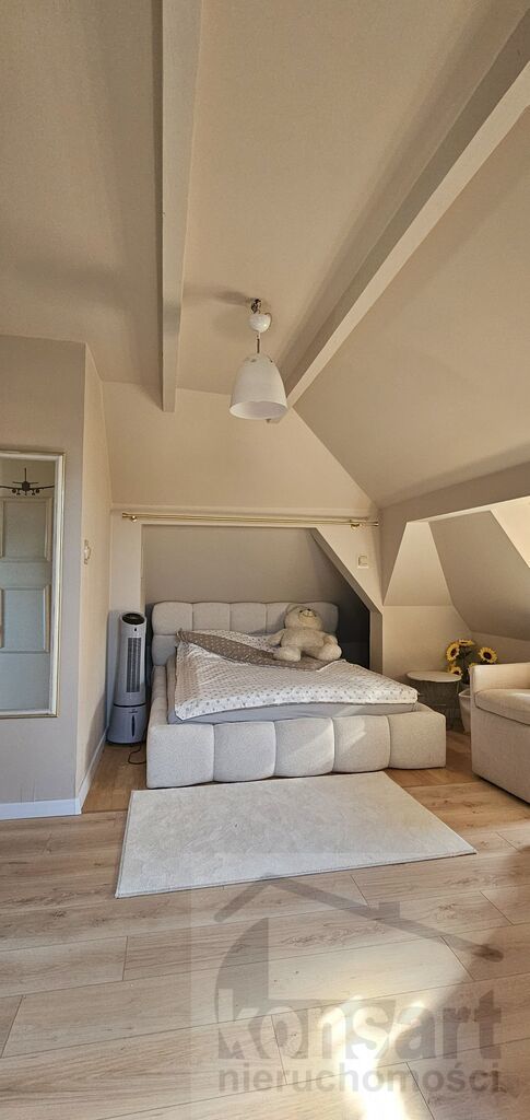 Dom wolnostojący idealny pod działalność (28)