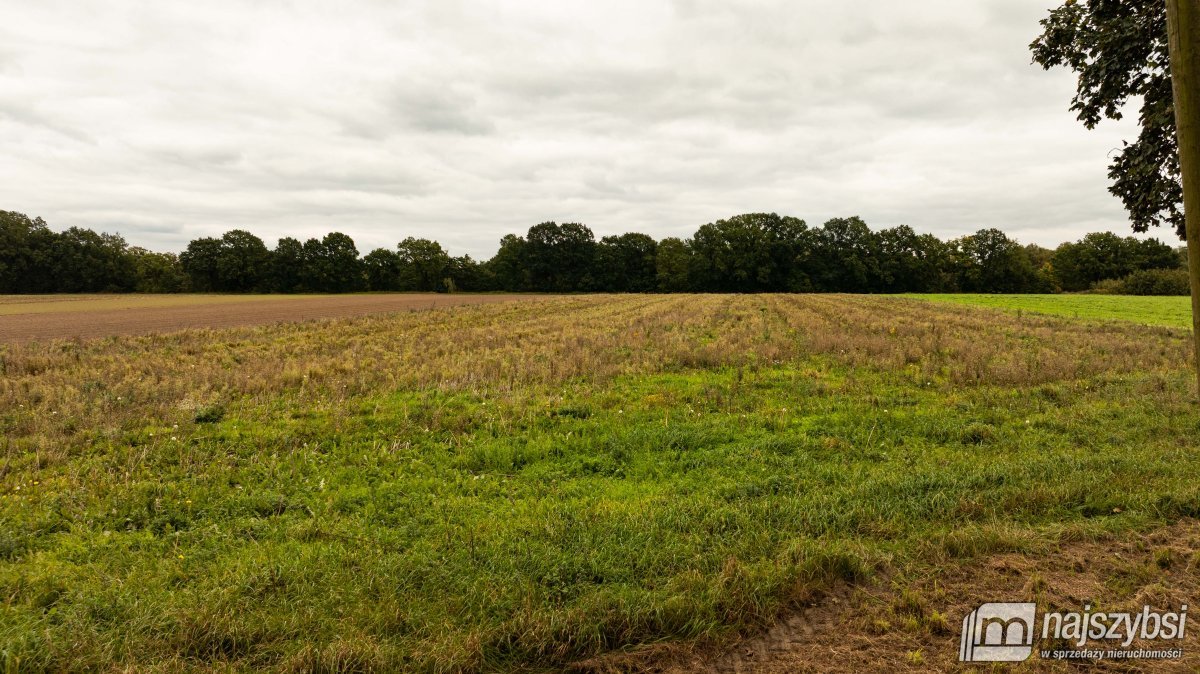 Maszewo-Wisławie - działka rolno-budowlana 748m²
 (14)