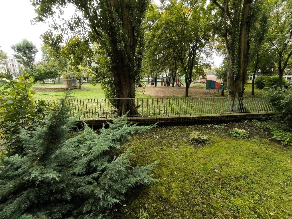 Mieszkanie z ogródkiem 2 pokoje, 1 Maja (10)