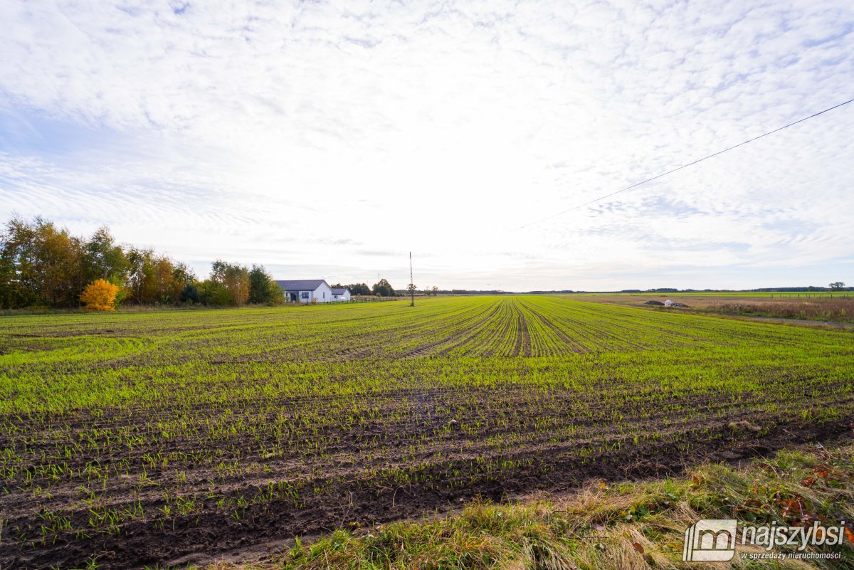Kościuszki - działka 2155m2 z MPZP (14)