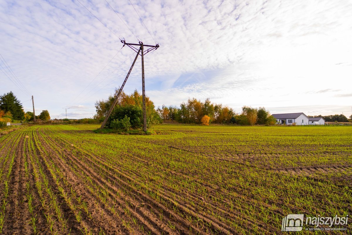 Kościuszki - działka 2155m2 z MPZP (8)