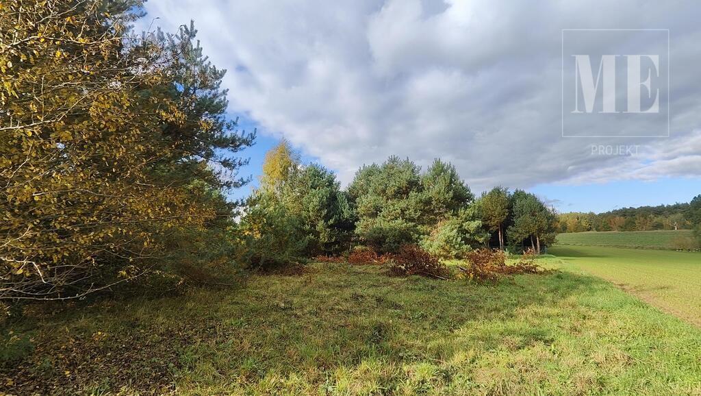 Działki budowlane Tarnowiec OKAZJA INWESTYCYJNA (3)