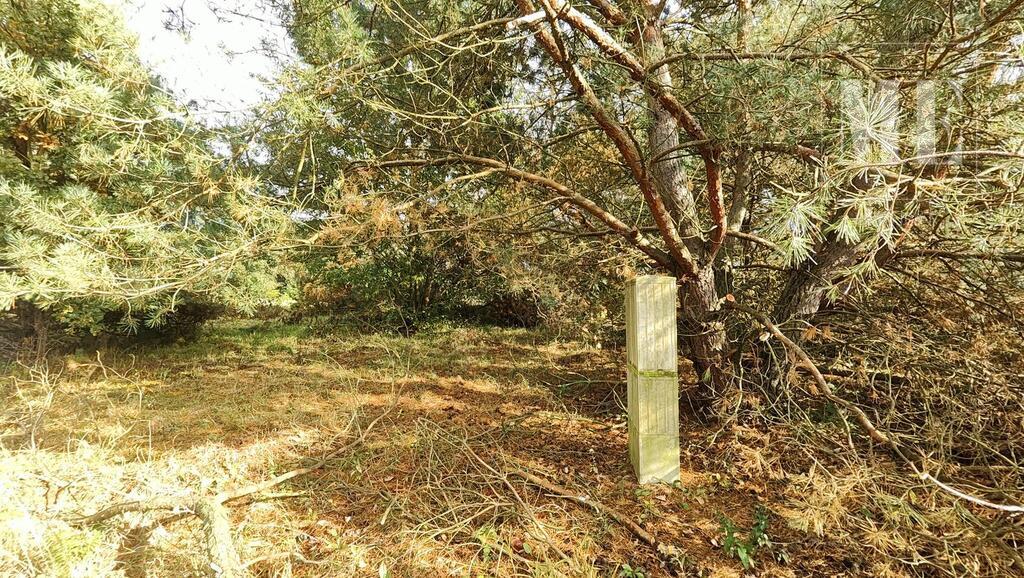 Działki budowlane Tarnowiec OKAZJA INWESTYCYJNA (5)