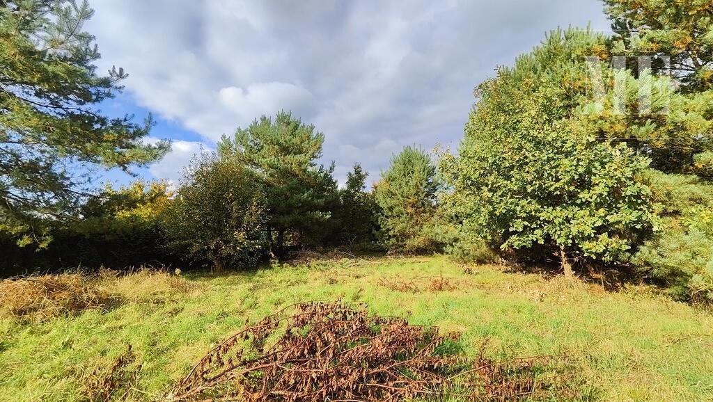 Działki budowlane Tarnowiec OKAZJA INWESTYCYJNA (4)