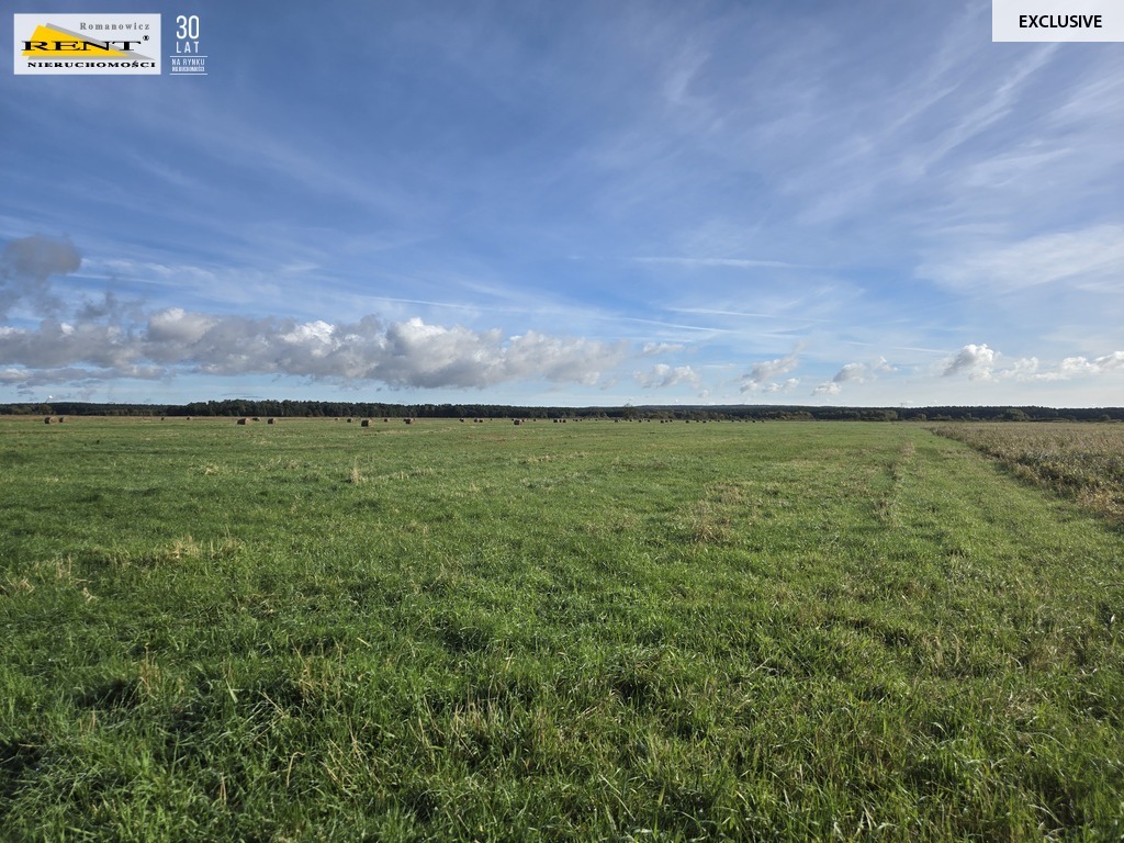 Działki inwestycyjne w Dobrej ul. Dereszowa (2)