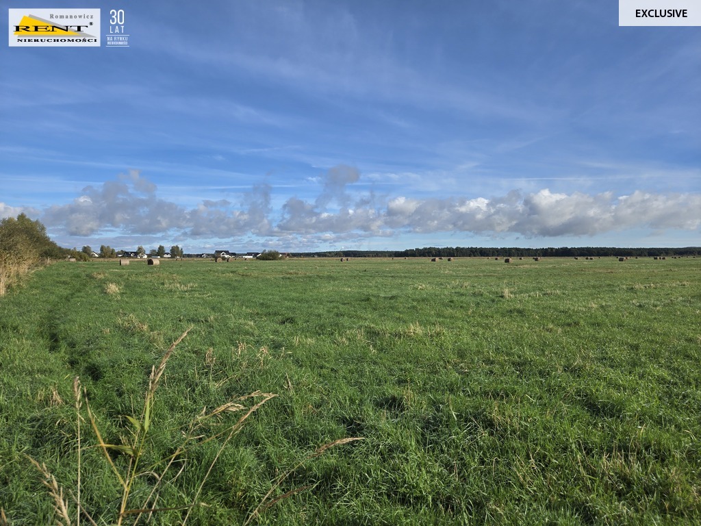 Działki inwestycyjne w Dobrej ul. Dereszowa (3)