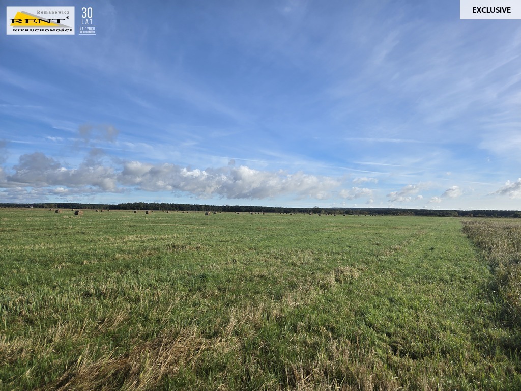 Działki inwestycyjne w Dobrej ul. Dereszowa (4)