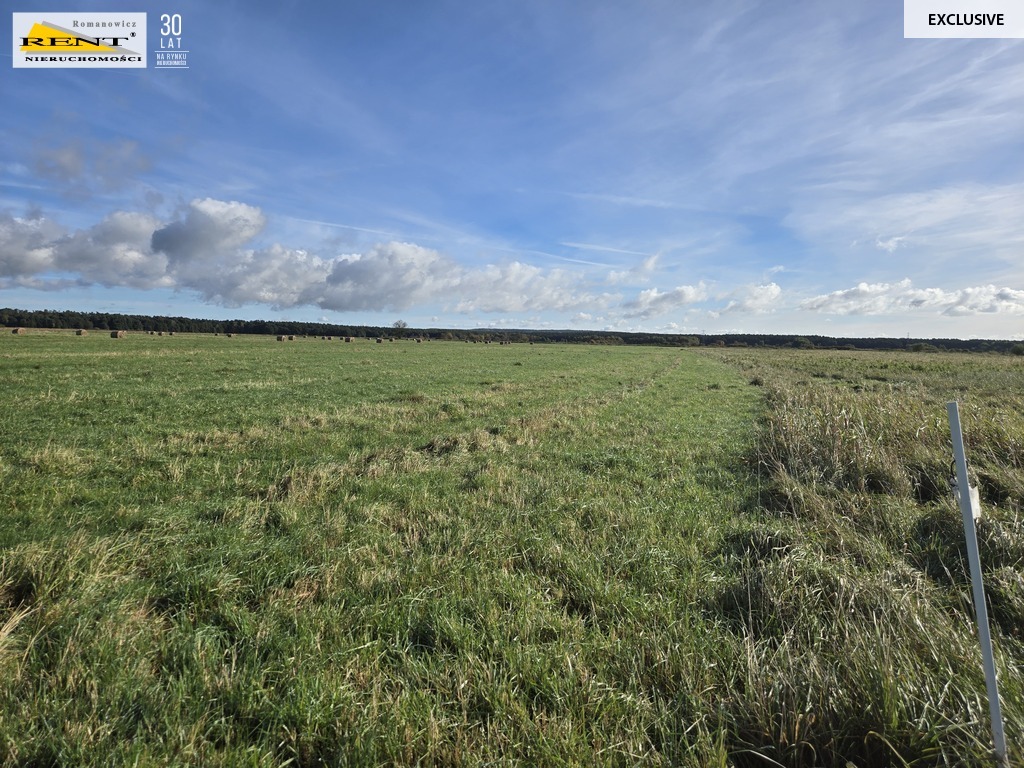 Działki inwestycyjne w Dobrej ul. Dereszowa (7)