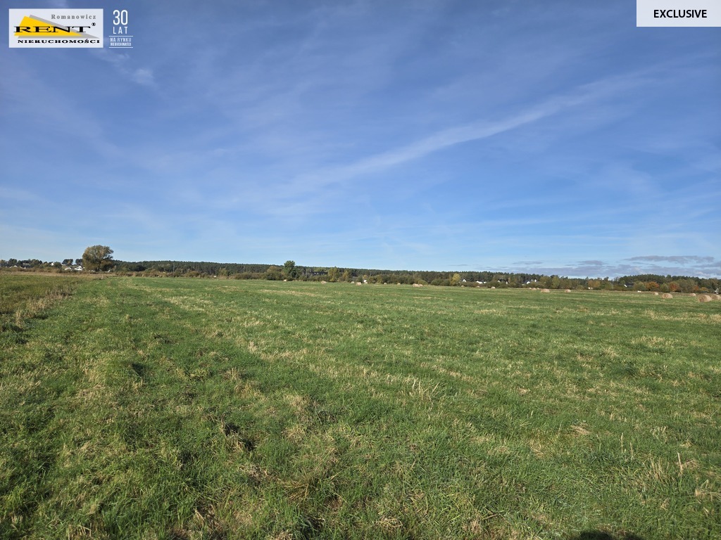 Działki inwestycyjne w Dobrej ul. Dereszowa (8)