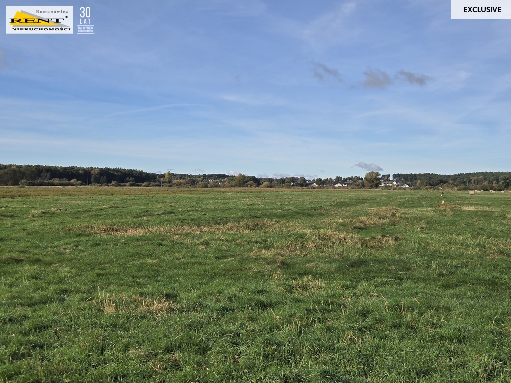 Działki inwestycyjne w Dobrej ul. Dereszowa (10)