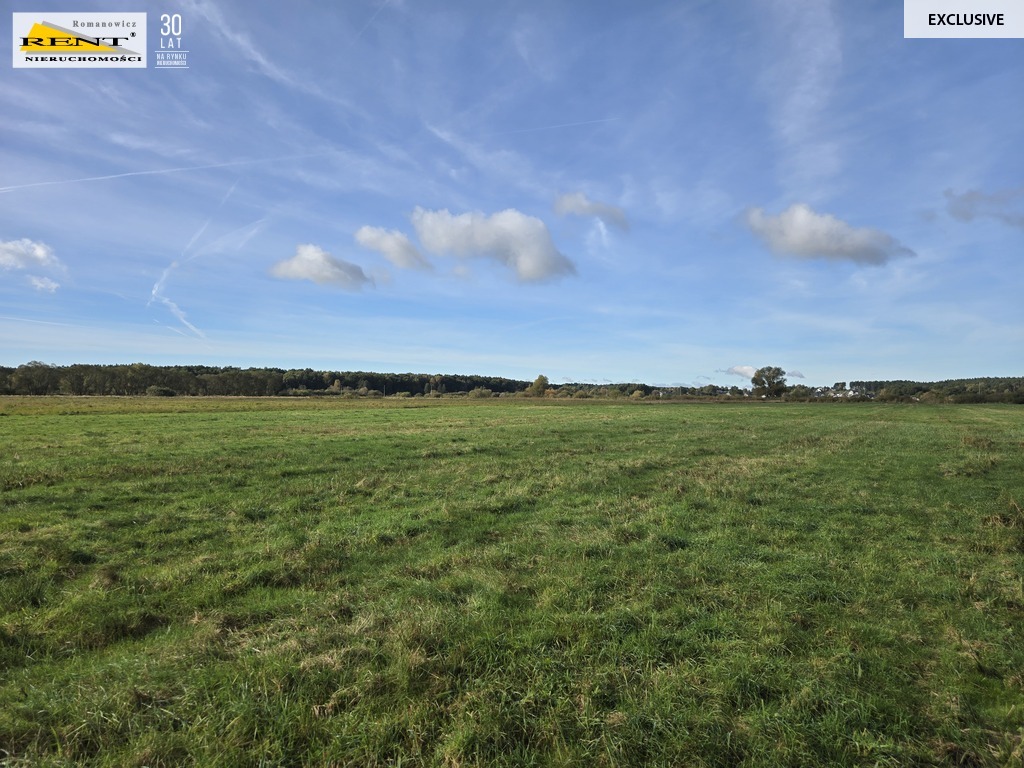 Działki inwestycyjne w Dobrej ul. Dereszowa (13)