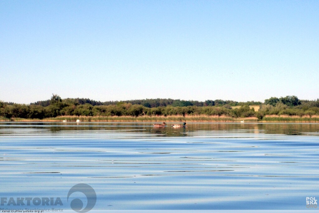 Żelewo dz. 2075 m2 ,555  zł/m2 dostępem  Miedwia (1)