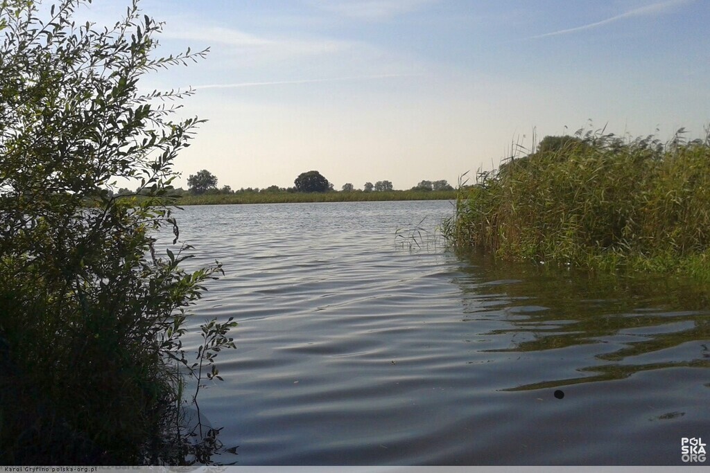 Żelewo dz. 2075 m2 ,555  zł/m2 dostępem  Miedwia (3)