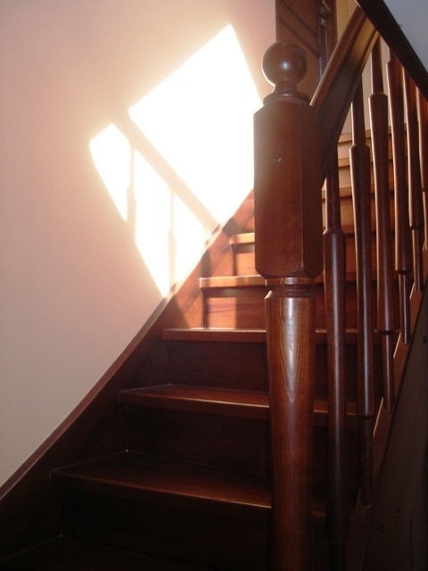 Do wynajęcia jako mieszkanie lub jako lokal (5)