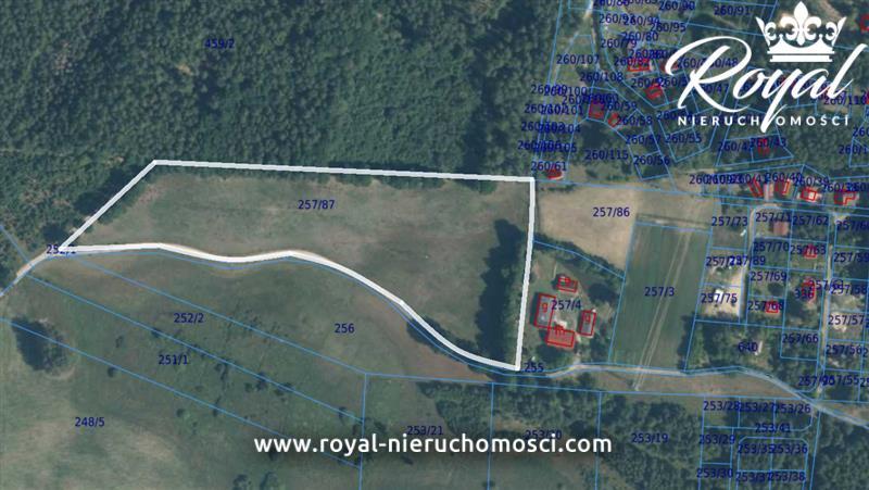 Działka Porost ok. 600 m od Jeziora Chlewo ! (5)