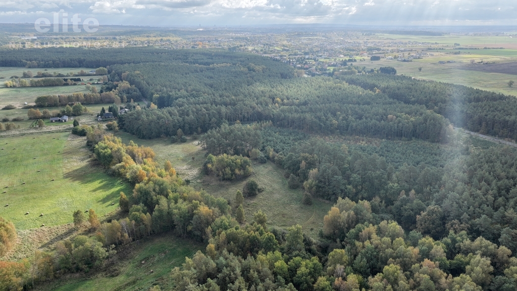 Działka z warunkami zabudowy 965m2 Dobra (5)