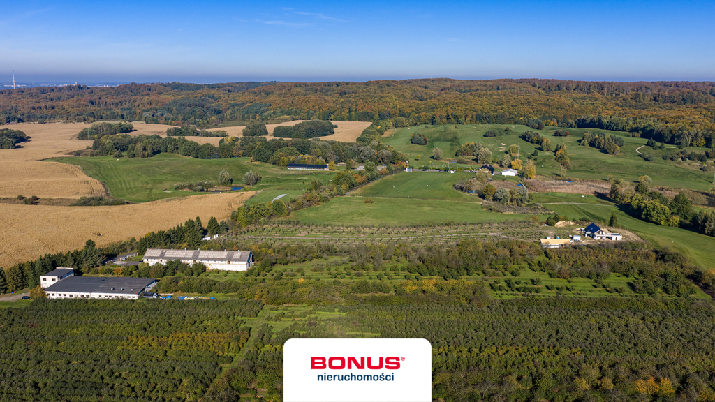 Obiekt, 160 m2, Binowo  (8)