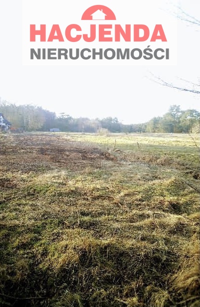 Budowlana, 1,900 m2, Niekłończyca  (1)