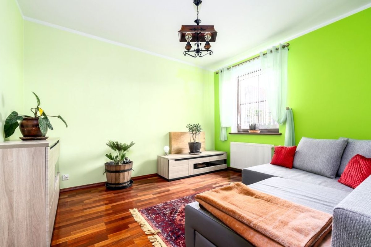 Dom z garażem i pięknym ogrodem (9)