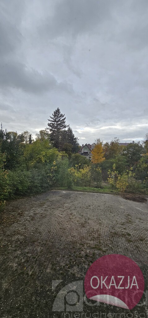 Pogodno- dom wolnostojący z duża działką (20)