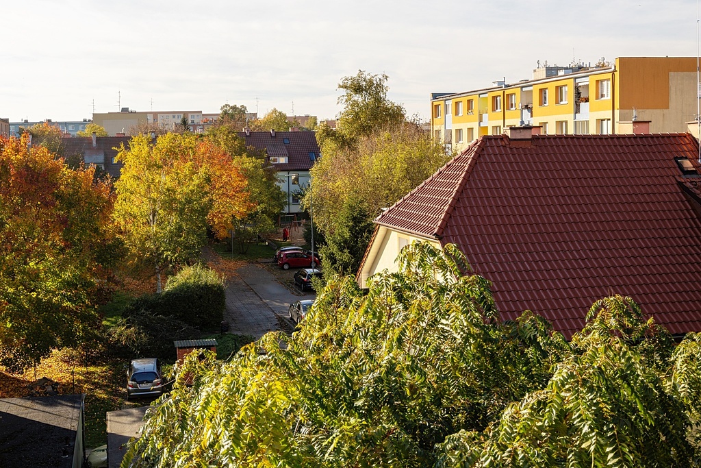 Świerczewo, 3 pokoje,  73,22 m2, balkon,  1994 rok (11)