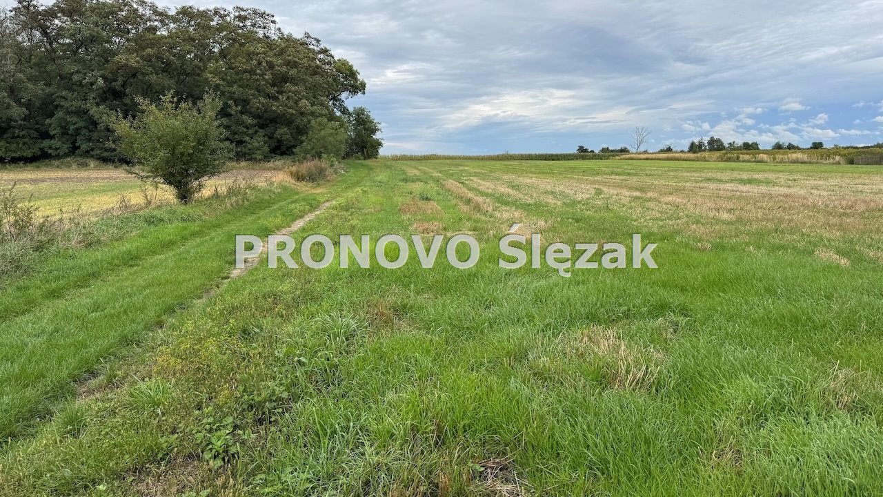 Sprzedam działkę w Lutyni  (2)