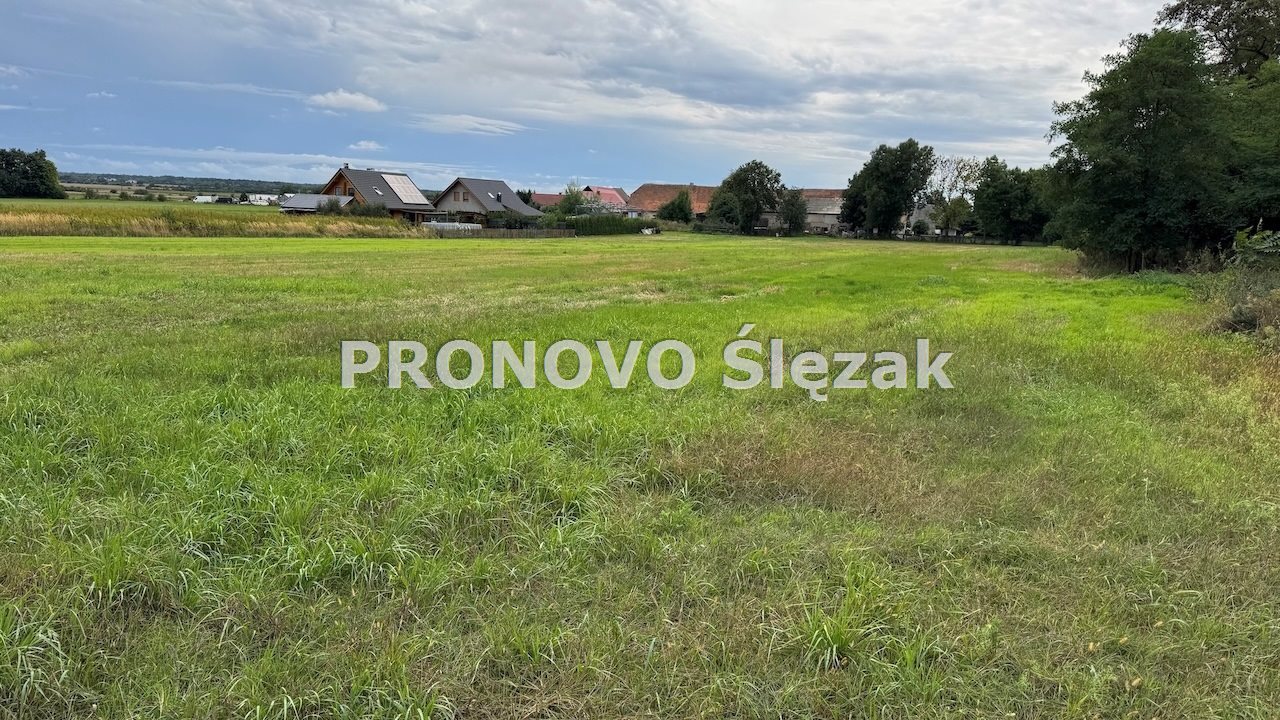 Sprzedam działkę w Lutyni  (4)