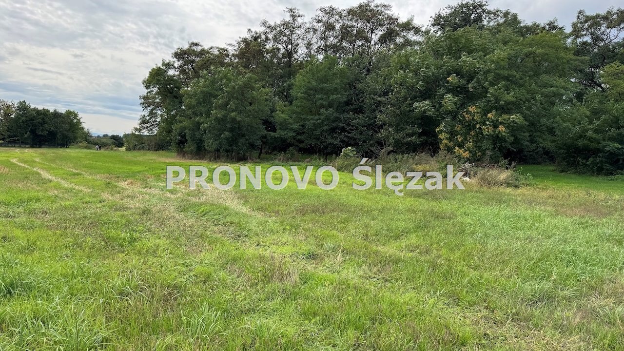 Sprzedam działkę w Lutyni  (5)