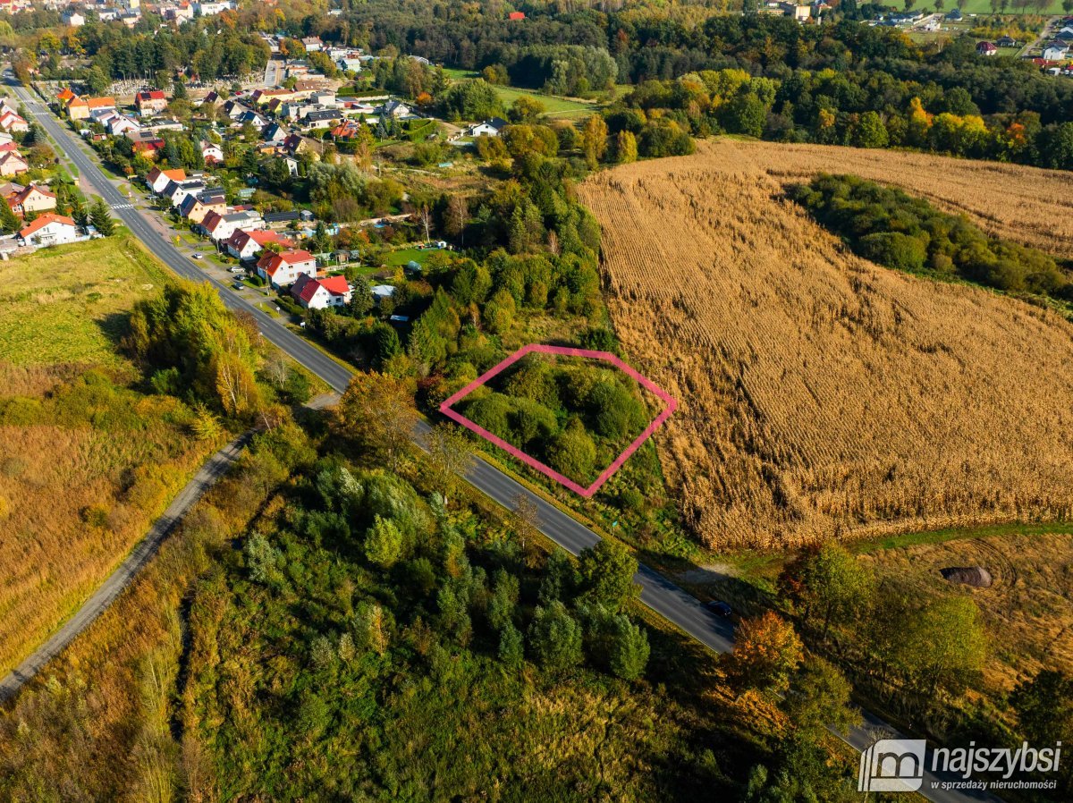 Płoty-działka z wydanymi warunkami zabudowy (1)