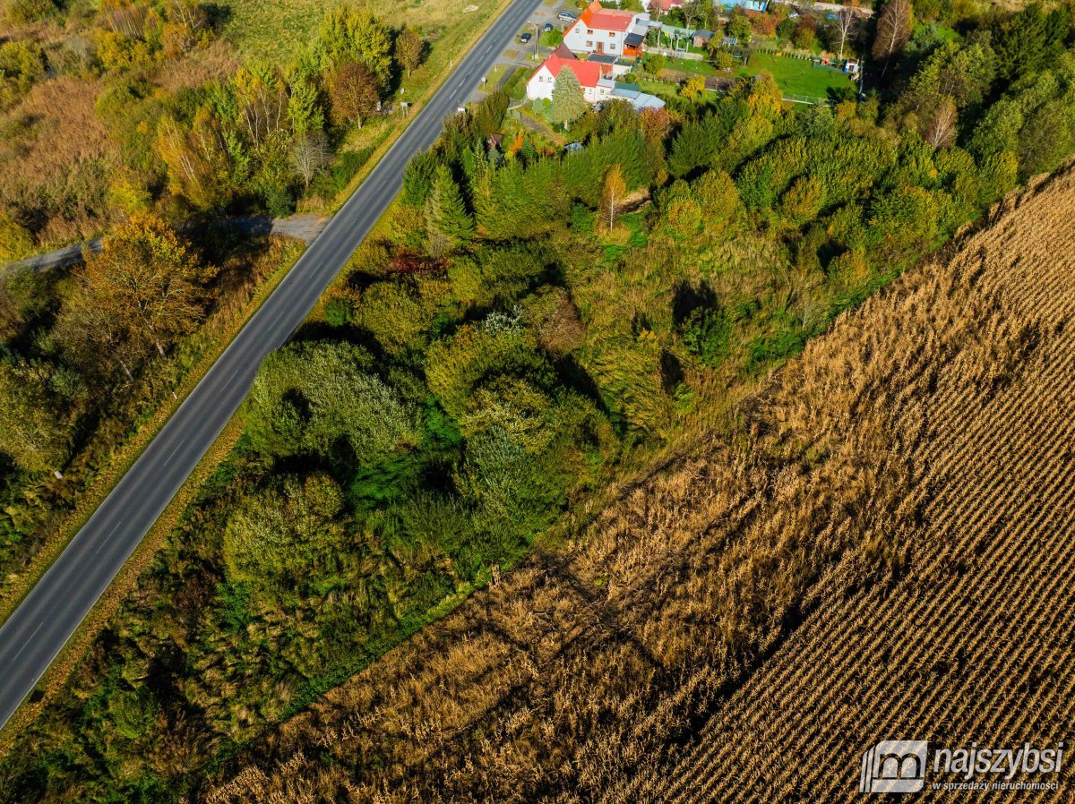 Płoty-działka z wydanymi warunkami zabudowy (16)