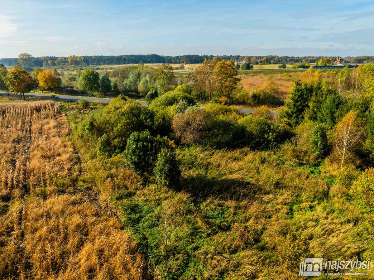 Płoty-działka z wydanymi warunkami zabudowy (18)
