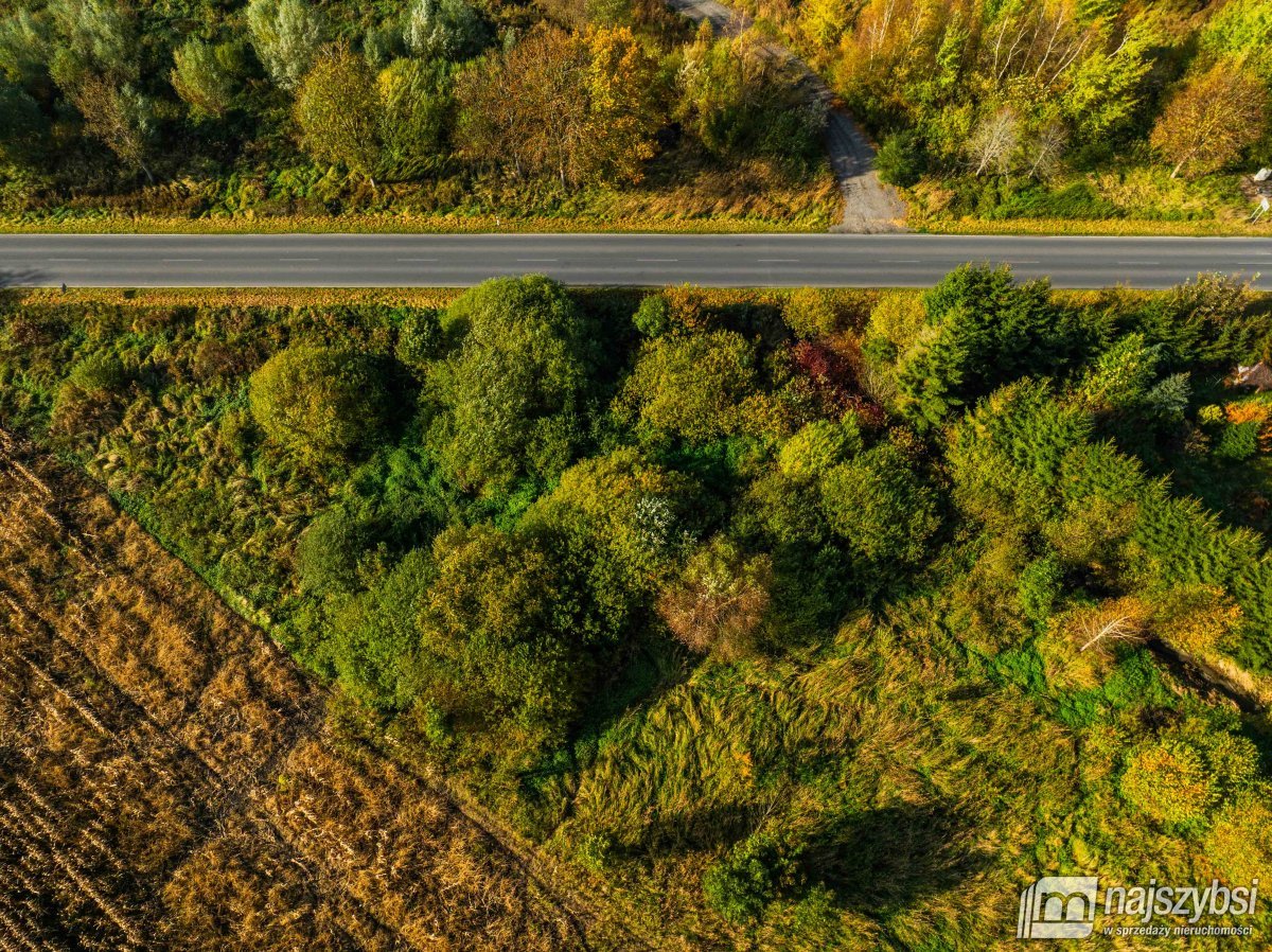 Płoty-działka z wydanymi warunkami zabudowy (2)
