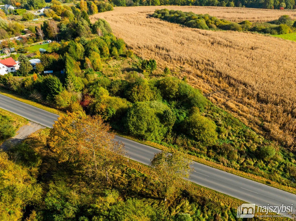 Płoty-działka z wydanymi warunkami zabudowy (20)